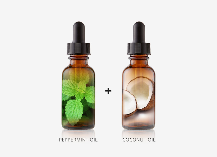 How To Use Peppermint Oil For Hair Growth Visible Results In