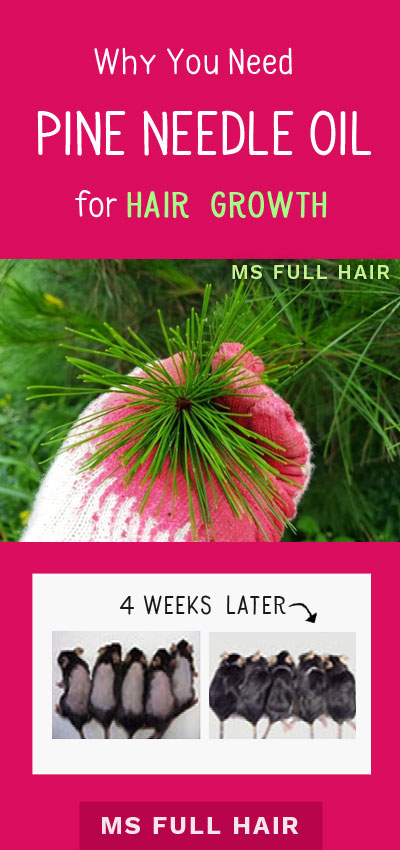 pineneedle,knittingneedle pine needle oil for hair growth (28 days later)