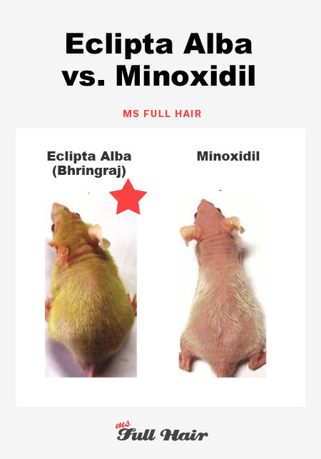 eclipta alba bhringraj vs minoxidil