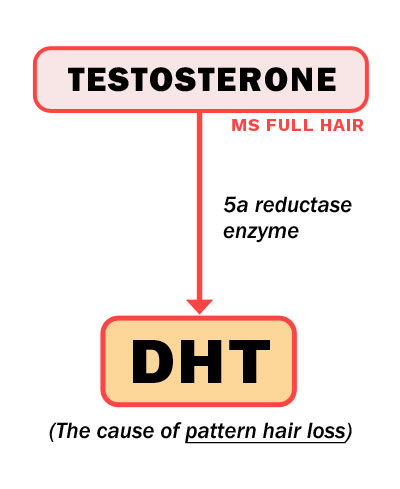 saw palmetto dht study